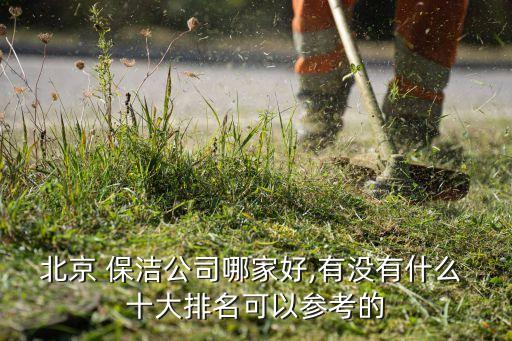 北京 保洁公司哪家好,有没有什么 十大排名可以参考的