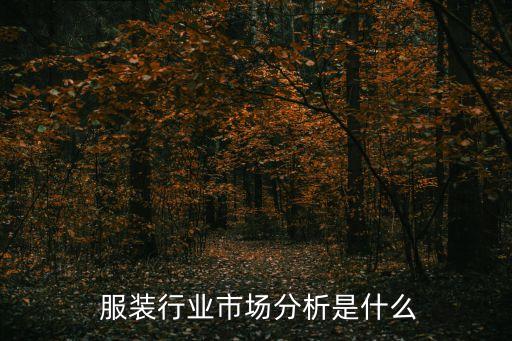 服装行业业务数据分析,服装服装行业目标客户市场大致分为八个