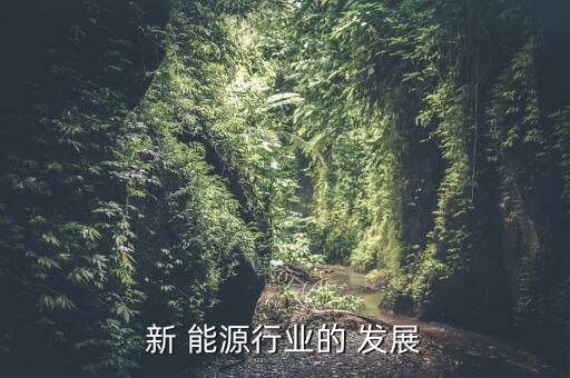 新 能源行业的 发展