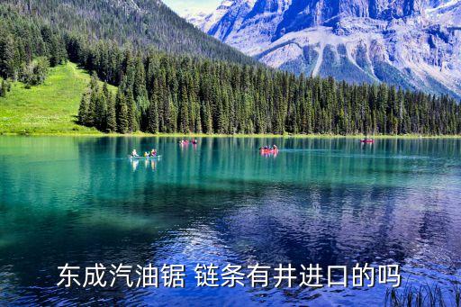 东成汽油锯 链条有井进口的吗