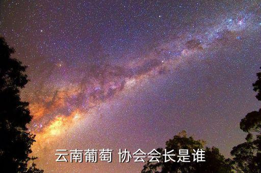 云南葡萄 协会会长是谁