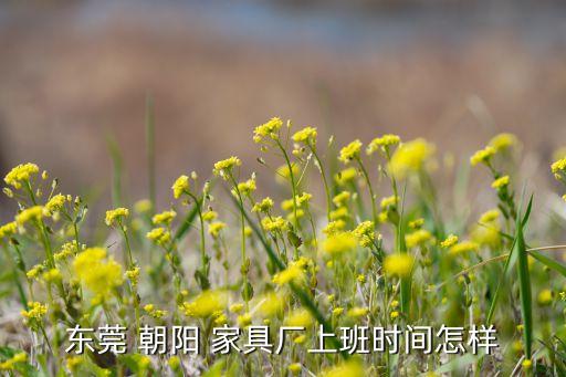 朝阳家具行业,东莞朝阳家具有限公司的商业信息