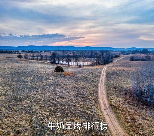  牛奶品牌排行榜