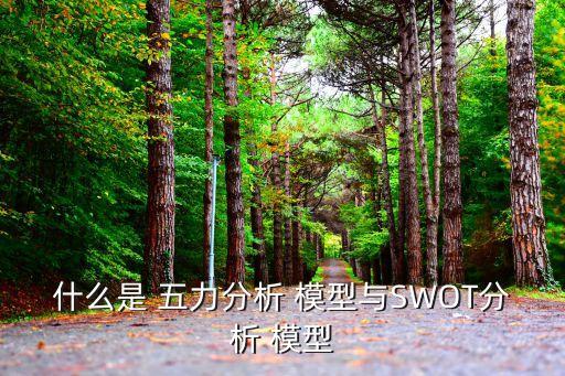 什么是 五力分析 模型与SWOT分析 模型