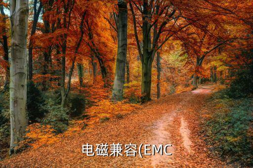 电磁兼容(EMC