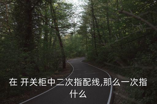 在 开关柜中二次指配线,那么一次指什么