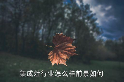集成灶行业怎么样前景如何