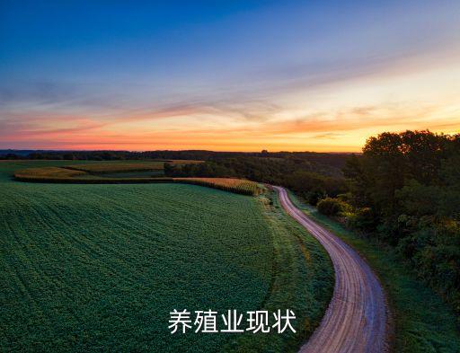  养殖业现状