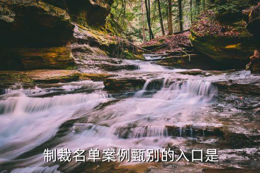 安防行业制裁,安防行业自然成为无人机应用重点领域