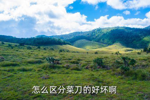 行业标准刀具,刀具可分为多种类型供选择