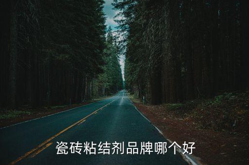  瓷砖粘结剂品牌哪个好