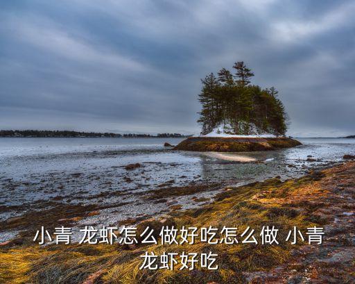 小青大青龙虾行业术语,这些小龙虾不能吃的地方
