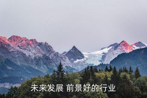 未来发展 前景好的行业