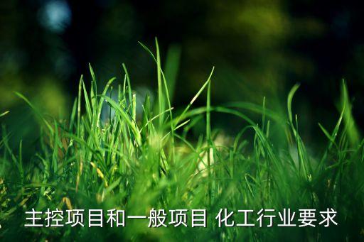 主控项目和一般项目 化工行业要求