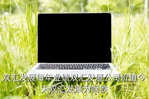 双汇发展每年业绩双汇发展公司价值今天双汇发展为啥跌