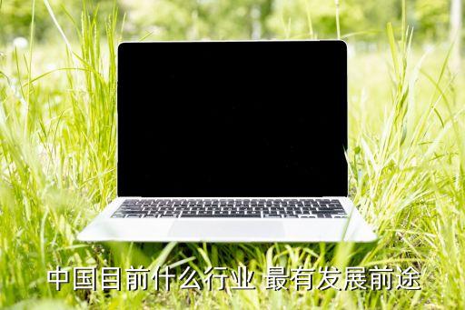 中国目前什么行业 最有发展前途