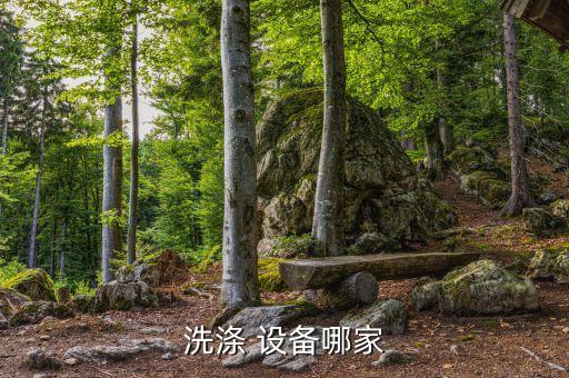 清洗设备 行业,所以从长远来看家电清洗行业还是很有前景