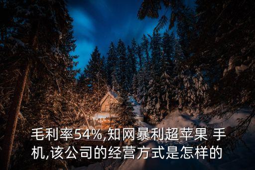 手机行业平均毛利率,商业毛利率财报分析:小指标发挥大作用