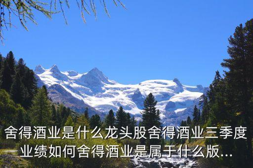舍得酒业是什么龙头股舍得酒业三季度业绩如何舍得酒业是属于什么版...