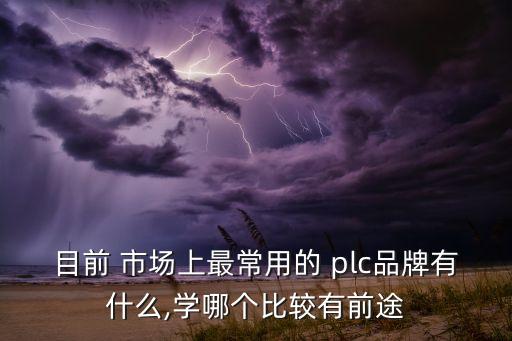 目前 市场上最常用的 plc品牌有什么,学哪个比较有前途