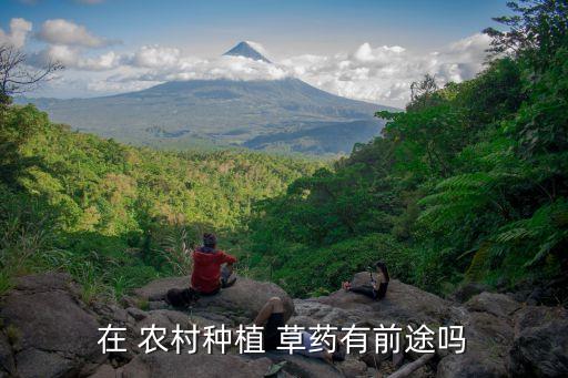 在 农村种植 草药有前途吗