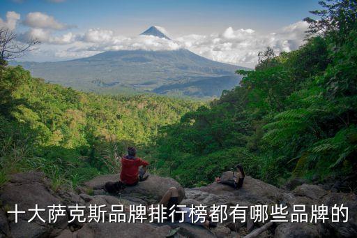 中国乐器行业十佳品牌,十大萨克斯品牌排名出炉我国排名第二