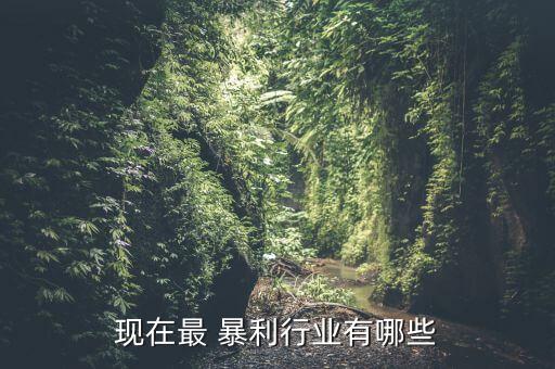 现在最 暴利行业有哪些
