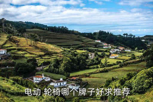 电动 轮椅哪个牌子好求推荐