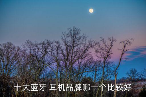 十大蓝牙 耳机品牌哪一个比较好
