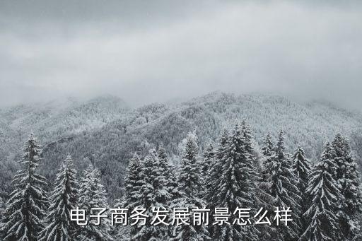 电子商务发展前景怎么样