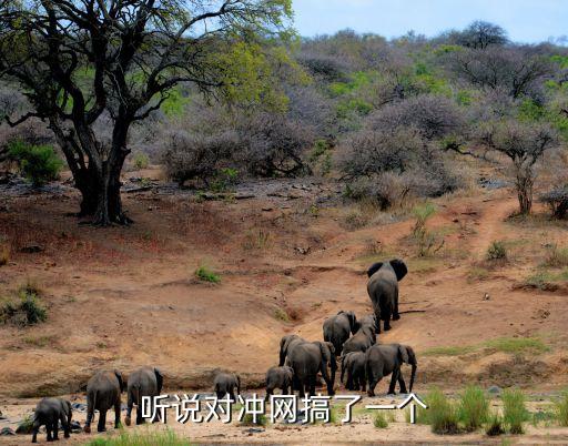 高端行业峰会,专业团队策划世界青年才俊峰会预算10万元