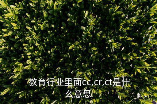  教育行业里面cc,cr,ct是什么意思