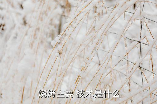  烧烤主要 技术是什么