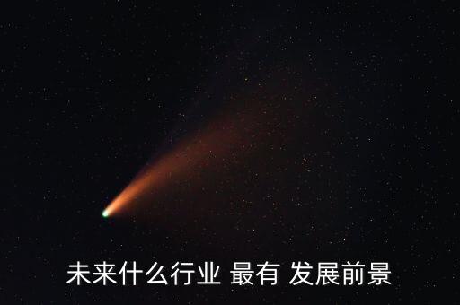 未来什么行业 最有 发展前景