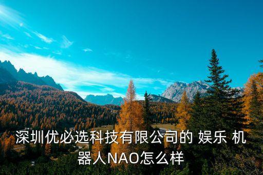 深圳优必选科技有限公司的 娱乐 机器人NAO怎么样