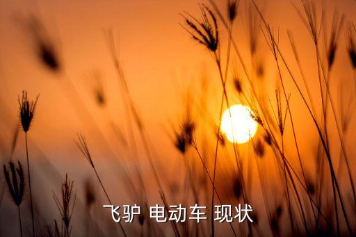 飞驴 电动车 现状