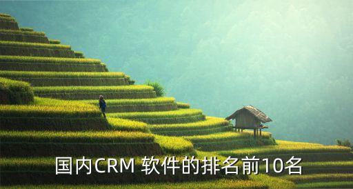  国内CRM 软件的排名前10名