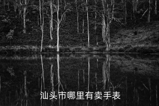  汕头市哪里有卖手表