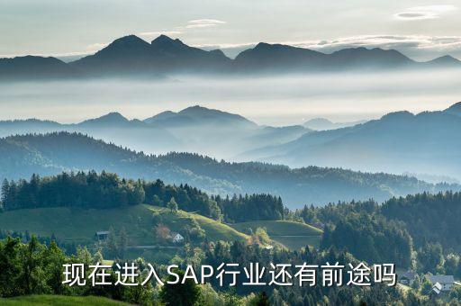 贸易行业sap,专业人士可选择abap模块开发和移植较容易