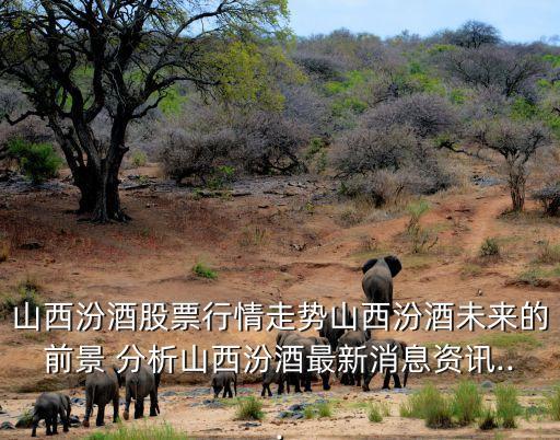 山西汾酒股票行情走势山西汾酒未来的前景 分析山西汾酒最新消息资讯...