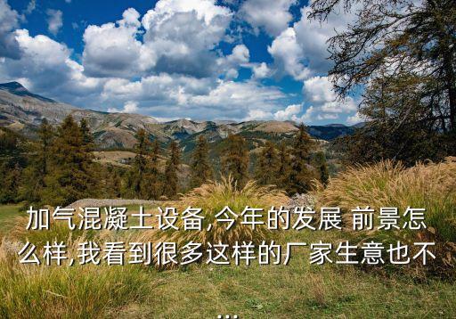加气混凝土设备,今年的发展 前景怎么样,我看到很多这样的厂家生意也不...