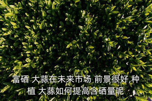 富硒 大蒜在未来市场 前景很好,种植 大蒜如何提高含硒量呢
