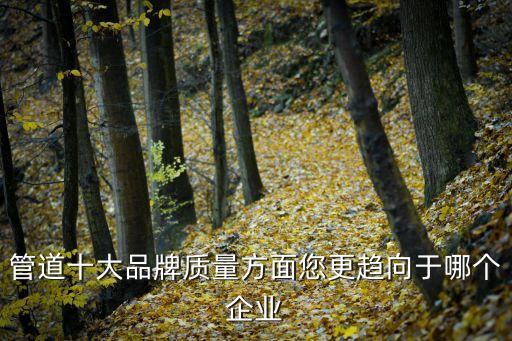 管道十大品牌质量方面您更趋向于哪个企业