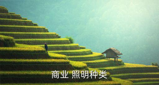 照明行业的行业类别,中国照明行业网提供应急照明服务