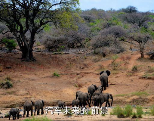 大型客车行业前景,汽车知识点（四）