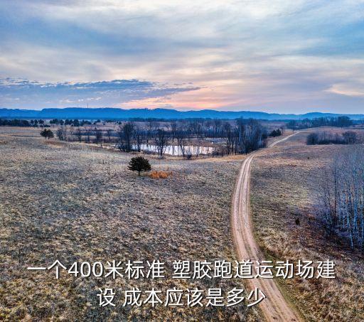 一个400米标准 塑胶跑道运动场建设 成本应该是多少