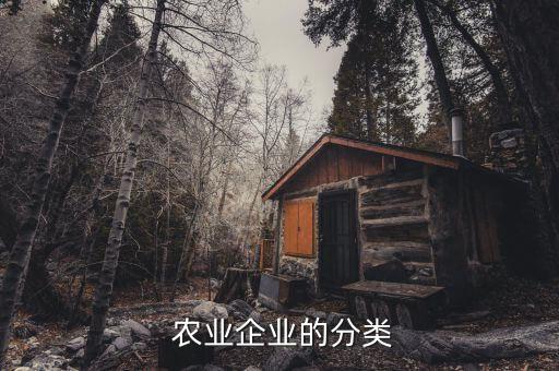  农业企业的分类