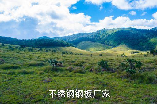  不锈钢钢板厂家