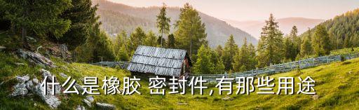 什么行业用的到密封件,橡胶密封件知多少?问与答（20）