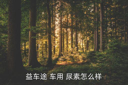 益车途 车用 尿素怎么样
